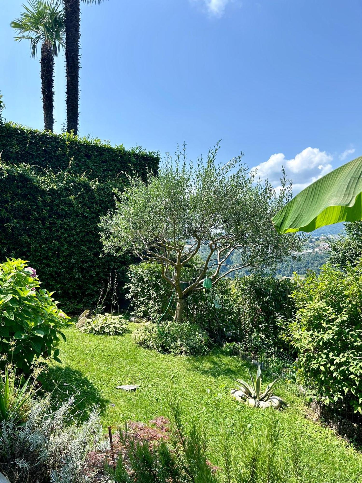 I Vallata Paradise I Free Parking - Garden&View - 10Minutes From Lugano Exterior foto